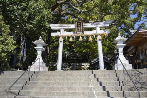 事任八幡宮 事任八幡宮 事任八幡宮,神社,掛川市の写真素材
