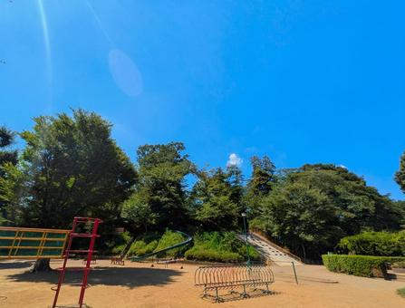国分寺の公園 国分寺の公園 晴天,風景,空と木の写真素材