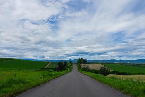 どこまでも続く北海道の道 どこまでも続く北海道の道 道,まっすぐ,丘の写真素材