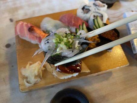 生しらうお軍艦巻き 白魚 鮨 江戸前寿司 生しらうお軍艦巻き 白魚 鮨 江戸前寿司 にぎり寿司,江戸前寿司,鮨の写真素材