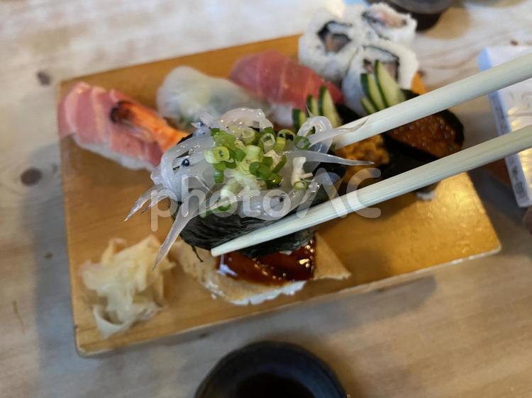 生しらうお軍艦巻き　白魚　鮨　江戸前寿司 にぎり寿司,江戸前寿司,鮨の写真素材