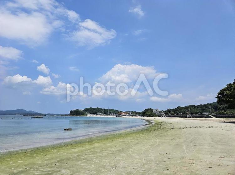 御座白浜海水浴場 御座白浜,御座白浜海水浴場,海水浴場の写真素材