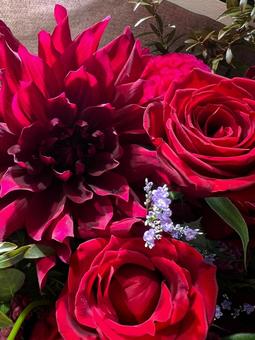 深紅のブーケ 花,ブーケ,深紅の写真素材