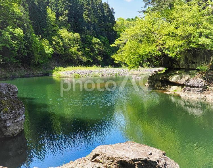 緑が美しい山の渓流の風景 渓流,川,河川の写真素材
