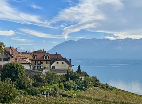 スイス・ラヴォーの秋景色 スイス・ラヴォーの秋景色 スイス,レマン湖,世界遺産の写真素材
