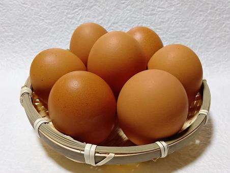 赤たまご 卵,たまご,生卵の写真素材