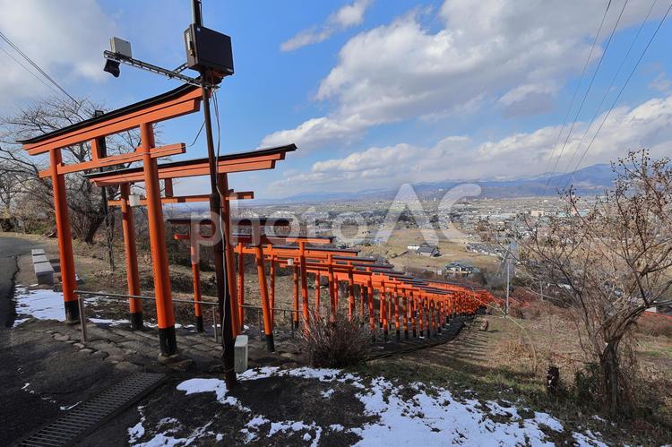 福岡県うきは市・浮羽稲荷神社の冬景色 赤鳥居,９３基,福岡県の写真素材