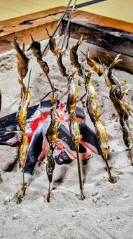鮎の塩焼き 鮎の塩焼き 鮎,囲炉裏,囲炉裏端の写真素材
