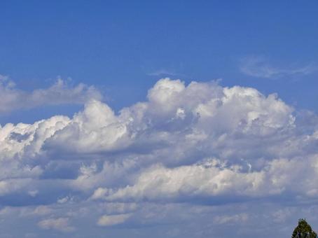 【空の写真】秋空 【空の写真】秋空 秋空,空,雲の写真素材