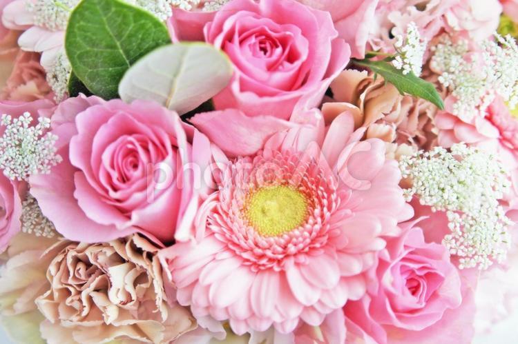 ガーベラとレースフラワーのアップ ガーベラ,薔薇,ばらの写真素材