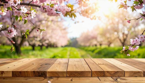 桜吹雪の舞う桜と新緑　木目のテーブルの写真