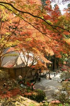 室生寺 室生寺,金堂,女人高野の写真素材