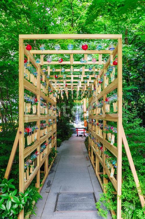 森の風鈴小路4 風鈴,夏,福徳の森の写真素材