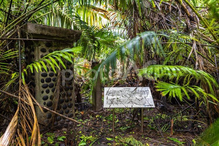 小笠原諸島・母島　海軍施設跡地 小笠原諸島,母島,戦跡の写真素材