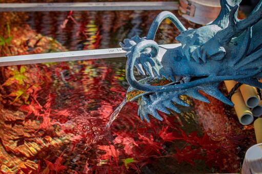 京都、五條天神宮の手水舎と龍 風景,京都,神社仏閣の写真素材