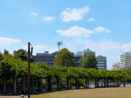 武蔵国分寺公園 武蔵国分寺公園の写真