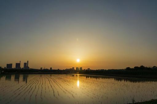 夕日に包まれたさいたま新都心 夕日に包まれたさいたま新都心 夕焼け,夕日,マジックアワーの写真素材
