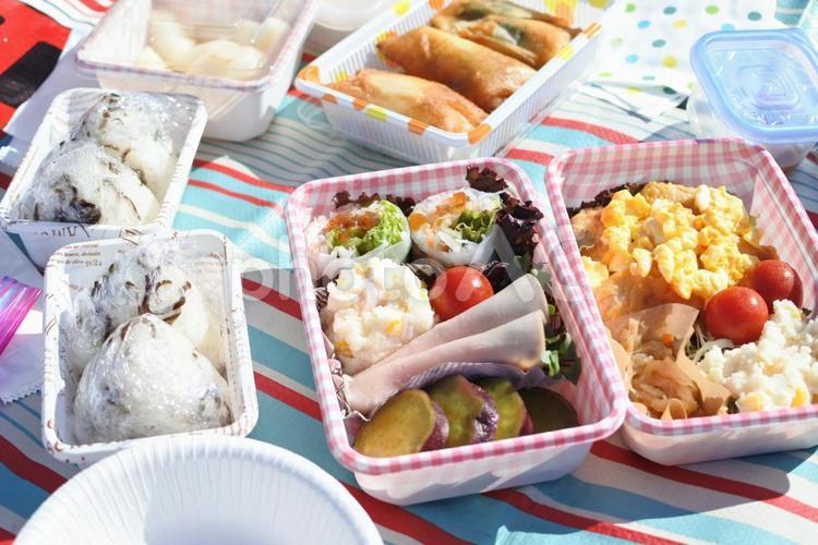 ピクニックの手作りお弁当 ピクニックの手作りお弁当,簡単お弁当,ピクニックお弁当の写真素材