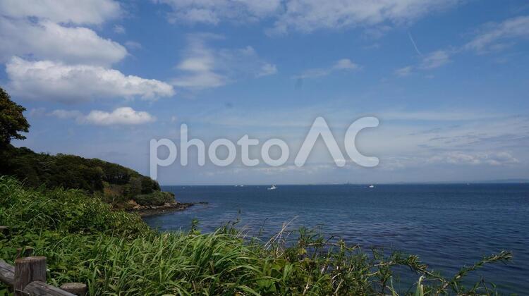 横須賀　無人島・猿島 猿島,横須賀,無人島の写真素材