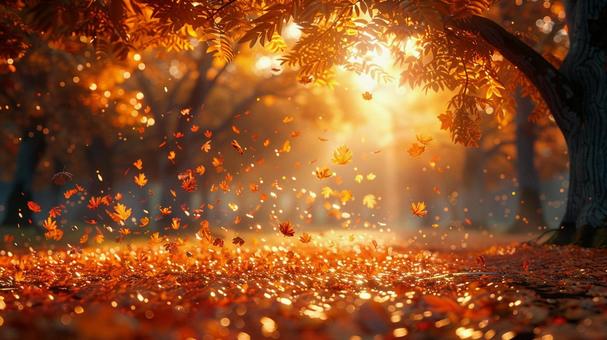 紅葉が降り注ぐ秋の風景 紅葉が降り注ぐ秋の風景の写真