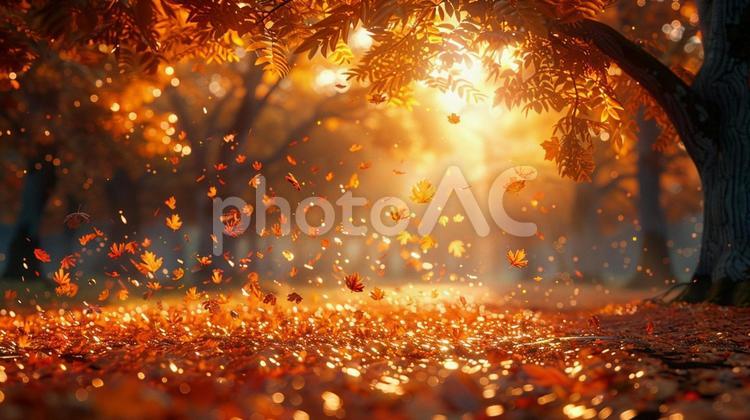紅葉が降り注ぐ秋の風景 紅葉,秋,森の写真素材