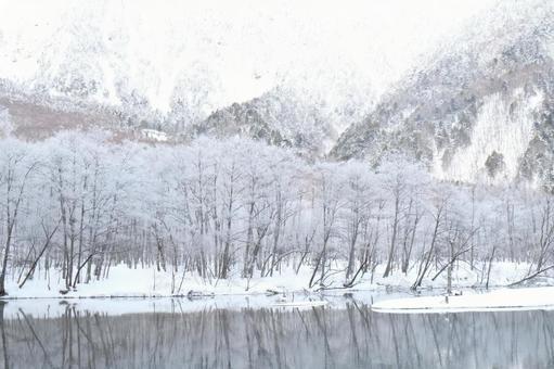 穏やかな冬の朝 穏やかな冬の朝の写真