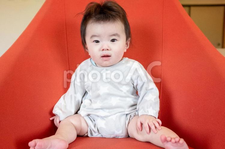 生後半年の赤ちゃん 赤ちゃん,生後半年,子供の写真素材