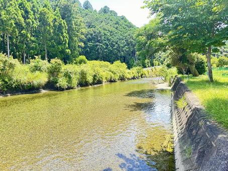 熊野古道 大辺路付近 熊野古道 大辺路付近 那智勝浦町湯川,熊野古道付近,木々の写真素材