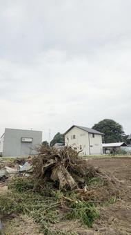 Demolition of an old house and deforestation, JPG