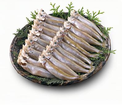 ししゃもの干物 ししゃもの干物の写真