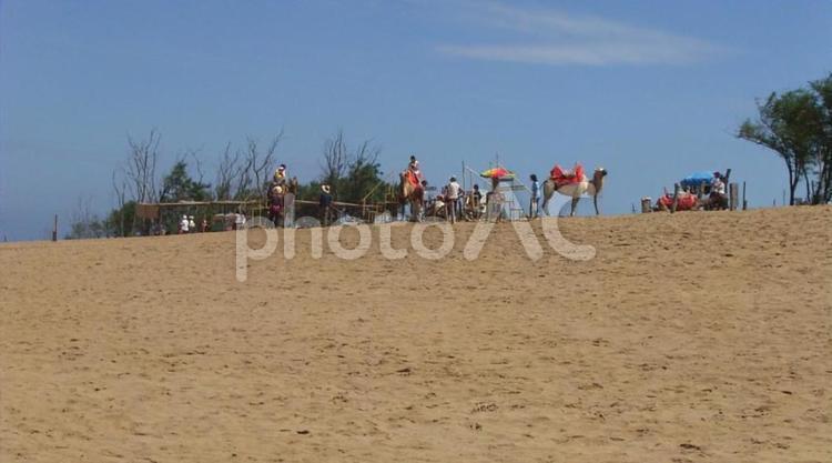 日本の沙漠（鳥取砂丘） 鳥取砂丘,鳥取観光,沙漠の写真素材