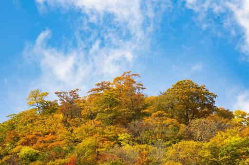 紅葉の山⑷ 山,紅葉,黄葉の写真素材