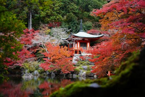 醍醐寺　 醍醐寺,紅葉,京都紅葉の写真素材