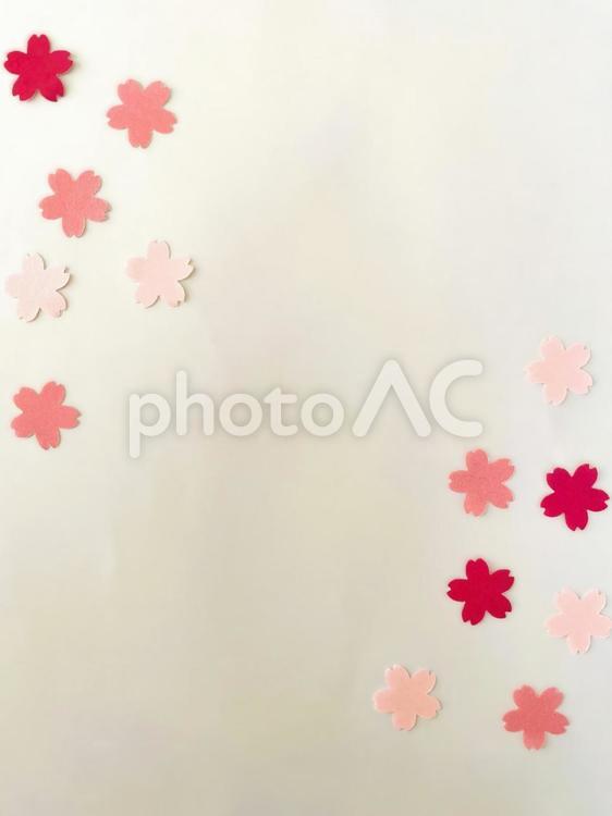 桜の花びらが舞うフレーム・背景２２１ 桜,花びら,フレームの写真素材