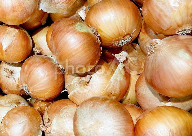 野菜・タマネギ タマネギ,玉ねぎ,玉葱の写真素材