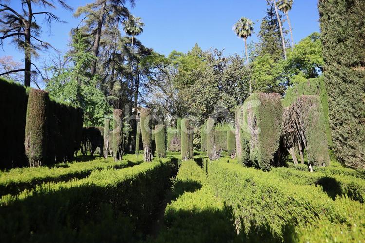 セビリア　庭園　南スペイン 庭園,庭,中庭の写真素材