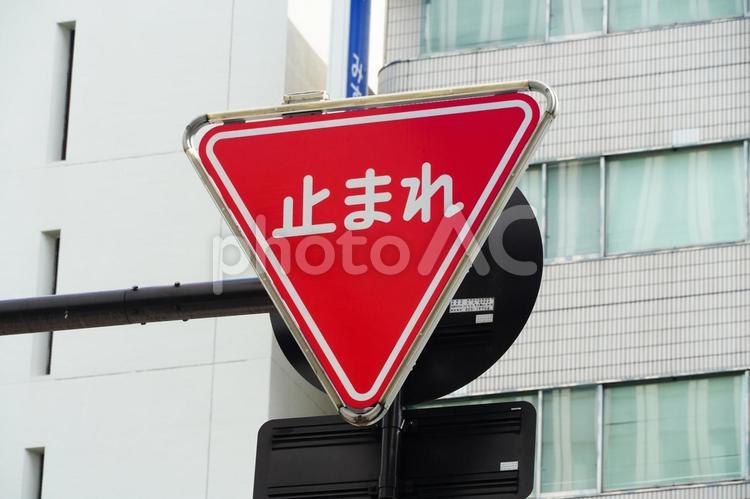 止まれ　道路標識 とまれ,標識,道路の写真素材