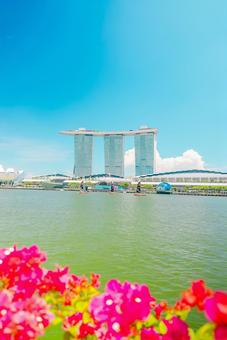 【シンガポール】海とマリーナベイサンズ シンガポール,マリーナベイサンズ,ビルの写真素材