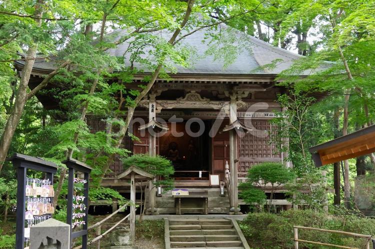 ８月上旬の平泉の中尊寺の伽藍 背景,中尊寺,寺の写真素材