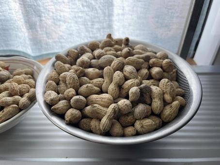 茹でた落花生 落花生,豆,茹でたの写真素材