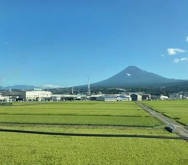 富士山と田んぼ 富士山と田んぼの写真