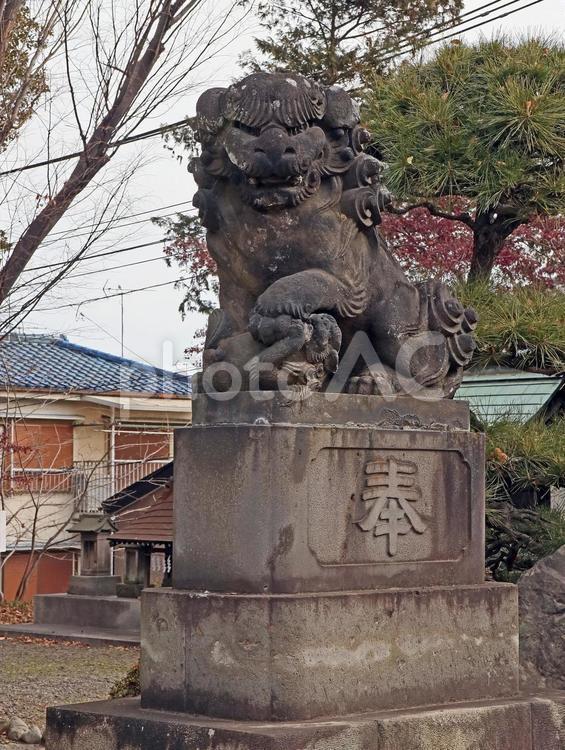 上赤塚氷川神社（板橋） 上赤塚氷川神社,素戔嗚命,藤原広継命の写真素材