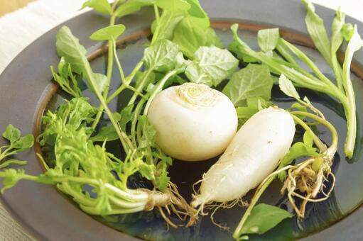 色とりどりの七草粥の食材 春の七草,七草,七草粥の写真素材