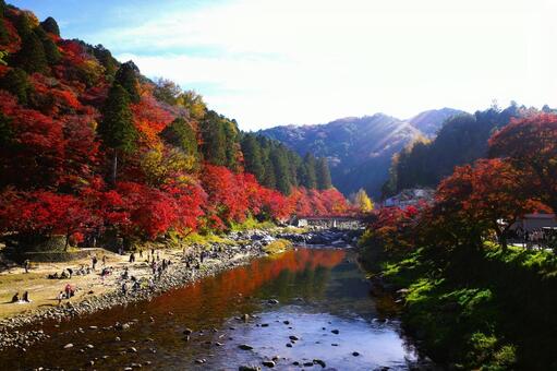 香嵐渓の紅葉 秋,モミジ,赤の写真素材