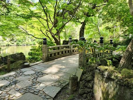 成田山新勝寺 成田山公園の明徳不動橋 成田山新勝寺 成田山公園の明徳不動橋の写真