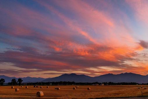 夕焼けと小麦畑 夕焼けと小麦畑の写真