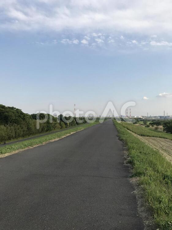 土手 散歩 散歩,土手,夏の写真素材