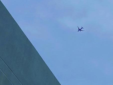 飛行機 飛行機,航空機,ジェット機の写真素材