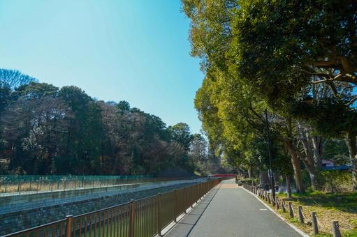 Walking path along the Eifukuji River, JPG