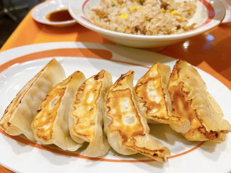 焼き餃子　食べ物 焼き餃子,キャベツ,ギョーザの写真素材